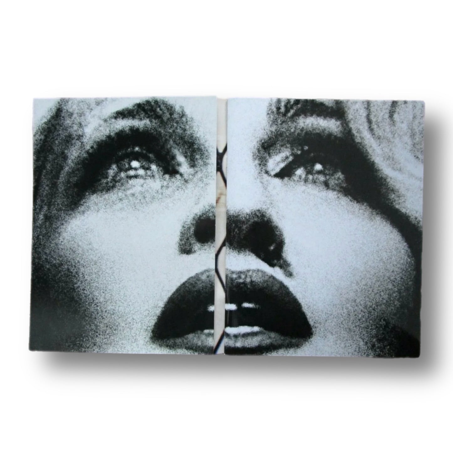 Rebel Heart Tour Program